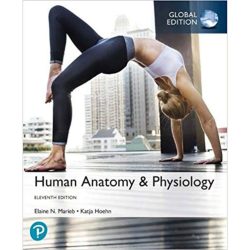 Essentials of human anatomy and physiology 11th edition