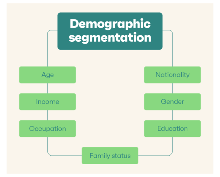 Demographic segmentation factors variables definition