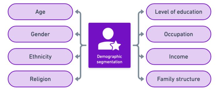 Segmentation demographic demographics bebtexas segment