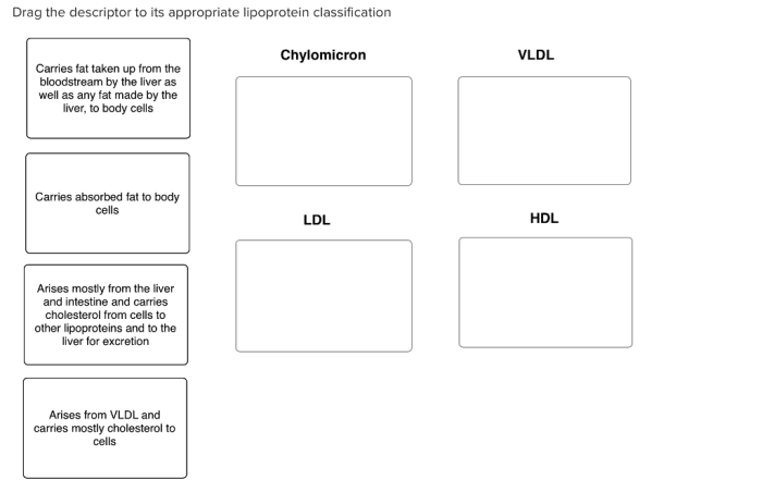 Drag the descriptor to its appropriate lipoprotein classification.